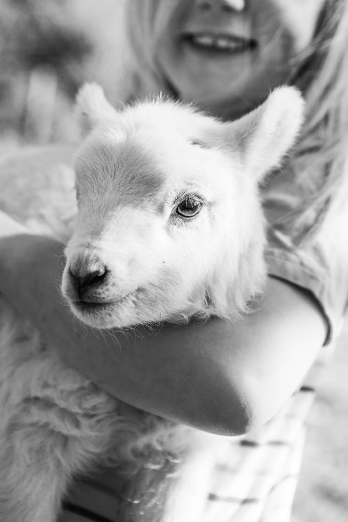 Portrait of a child laughing while holding a lamb, captured in soft rural light – a joyful moment of connection in Mid Wales.