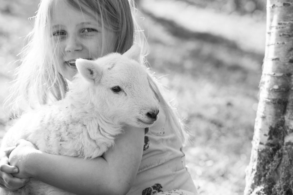 A young girl holds a lamb in her arms near a tree on a Mid Wales hillside, both bathed in soft natural light. Fine art photo essay by Tamara Peel.